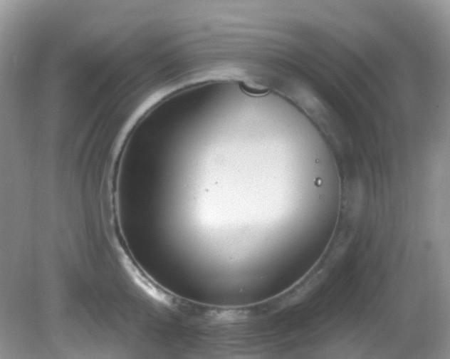 X0000083040808200702021150