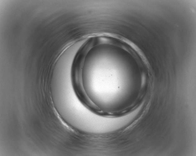 X0000083040809200702021150