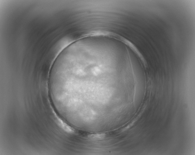 X0000083040810200702021150