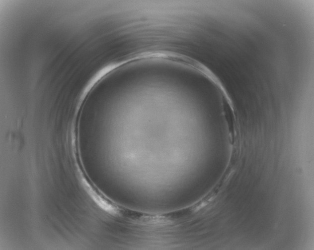 X0000083040811200702021150