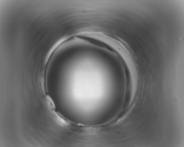 X0000083040812200702021150