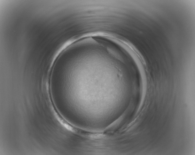 X0000083040813200702021150