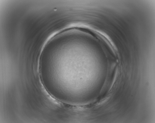 X0000083040815200702021150