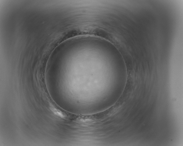 X0000083040817200702021149