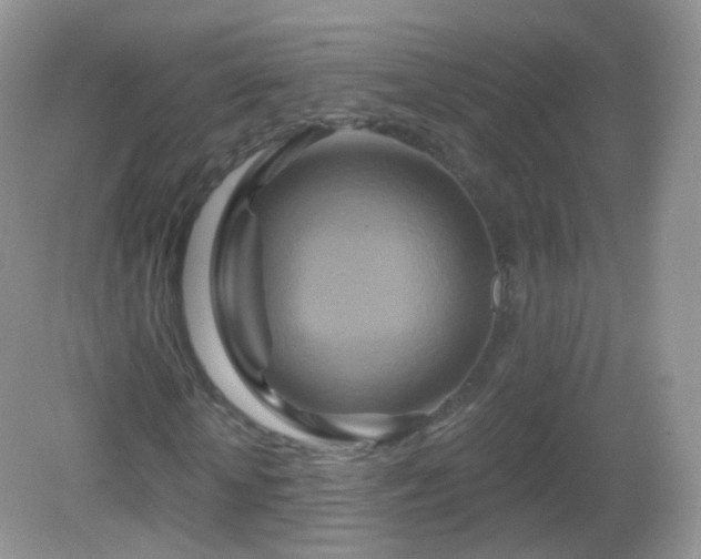 X0000083040818200702021149