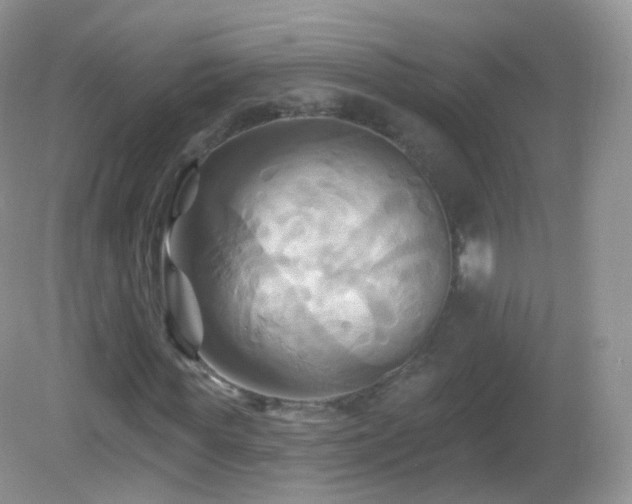 X0000083040819200702021149