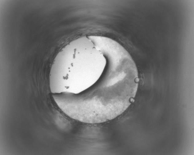 X0000083040820200702021149