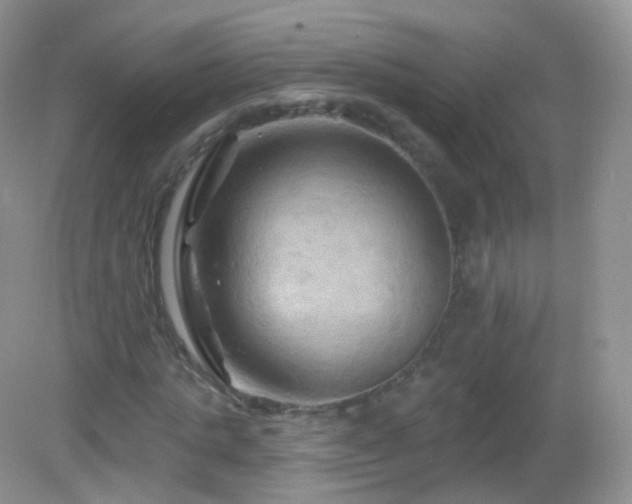 X0000083040821200702021149