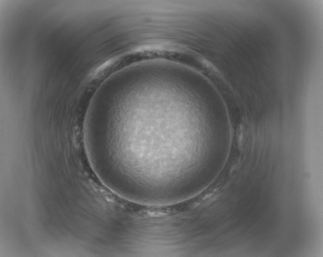 X0000083040822200702021149