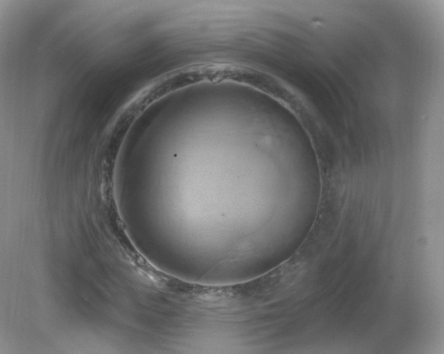 X0000083040823200702021149