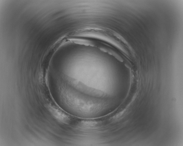 X0000083040825200702021149