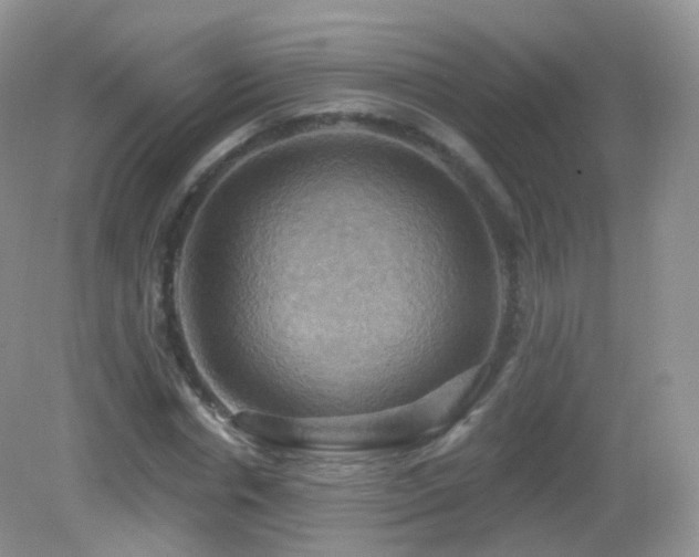 X0000083040826200702021149