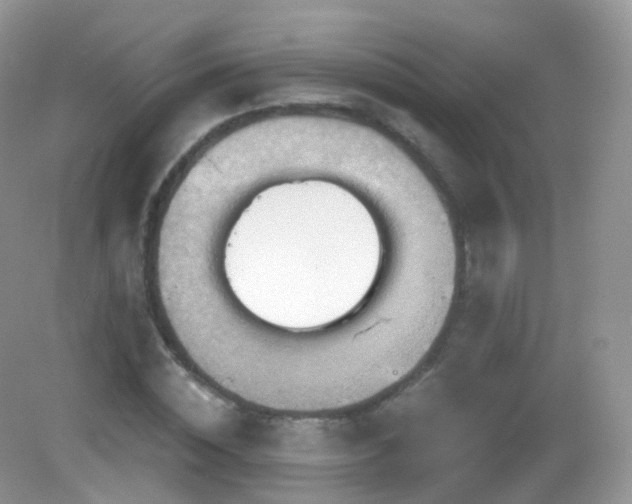 X0000083040828200702021149