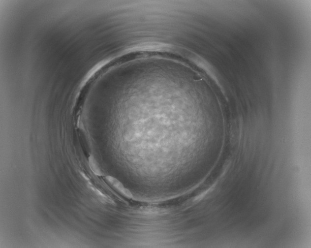 X0000083040829200702021149