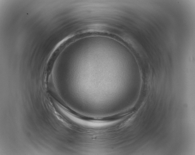 X0000083040830200702021149