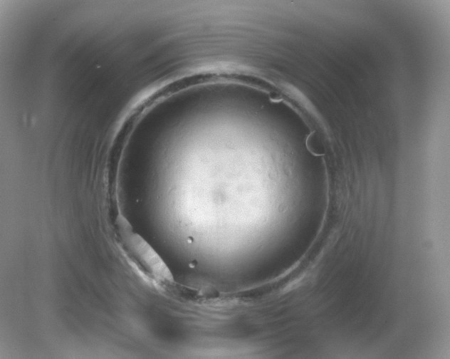 X0000083040831200702021149