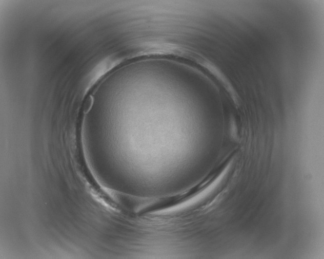 X0000083040834200702021149