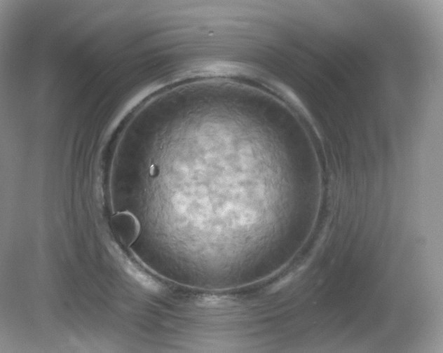 X0000083040835200702021149