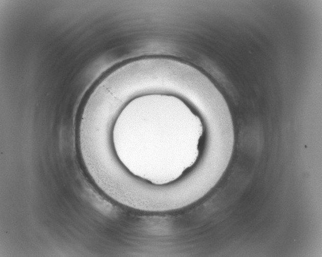 X0000083040836200702021149