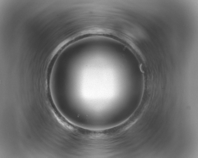 X0000083040837200702021150