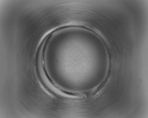 X0000083040838200702021150