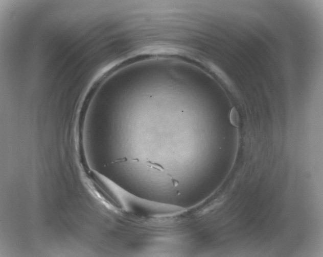 X0000083040840200702021150