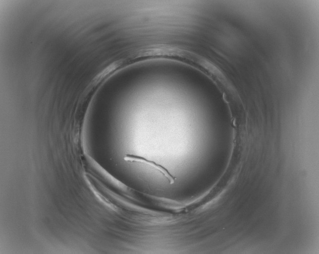 X0000083040841200702021150