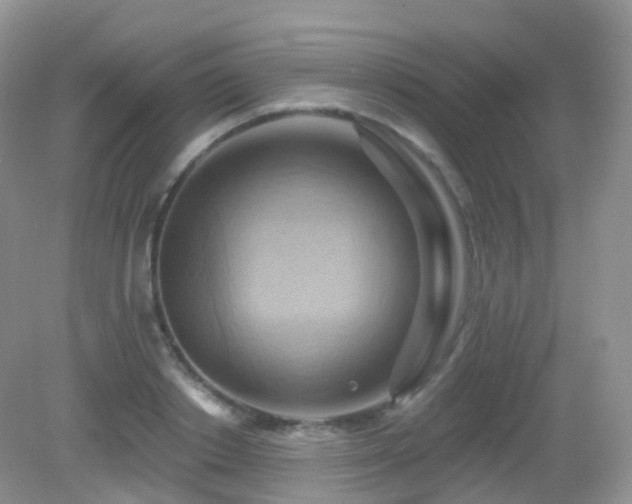 X0000083040842200702021150