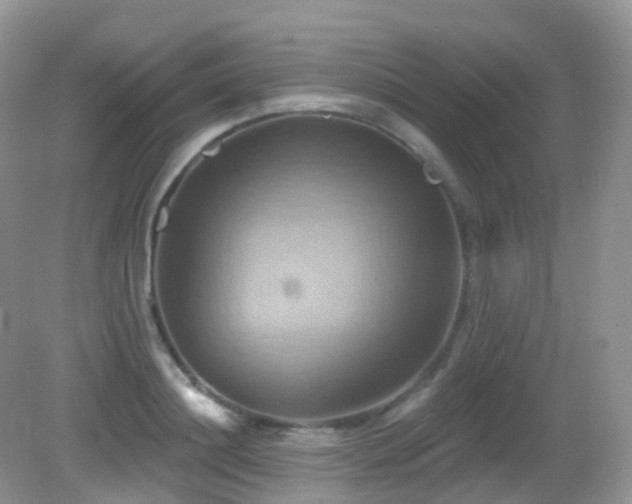 X0000083040844200702021150