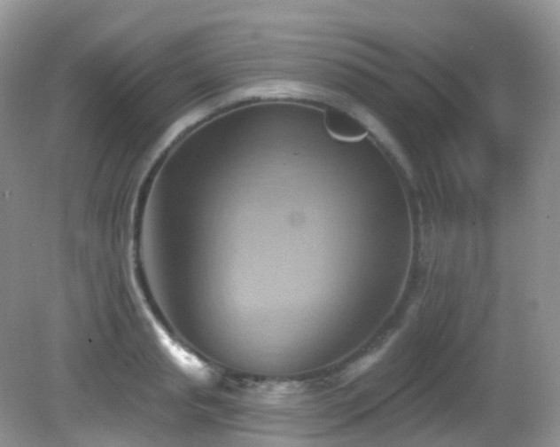 X0000083040845200702021150