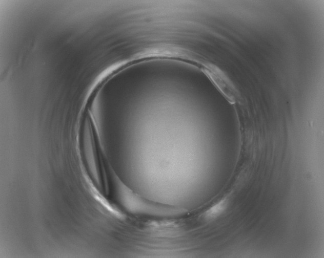 X0000083040846200702021150