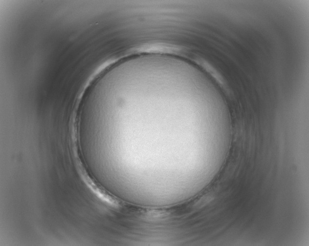 X0000083040848200702021150