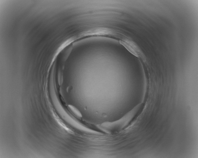 X0000083040850200702021150