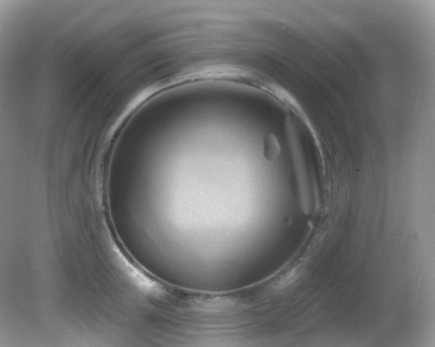 X0000083040851200702021150