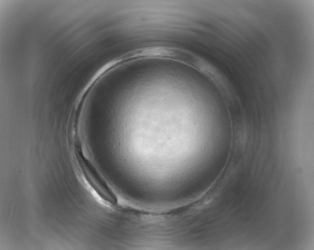 X0000083040852200702021150