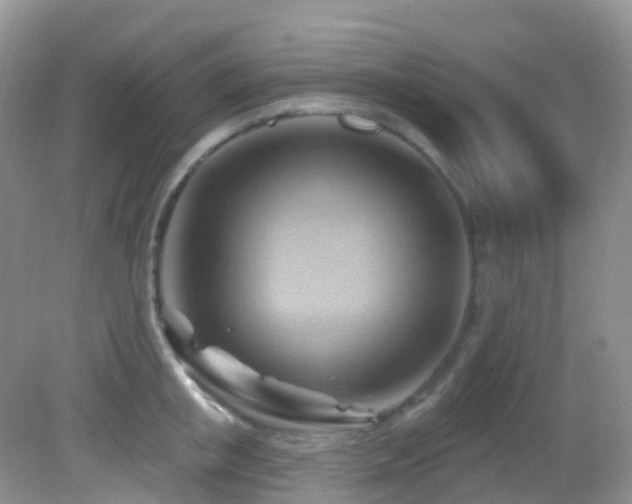 X0000083040853200702021150