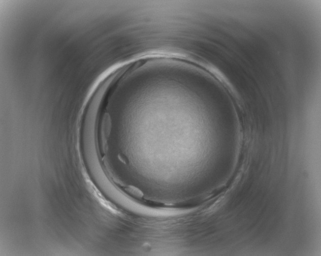 X0000083040854200702021150