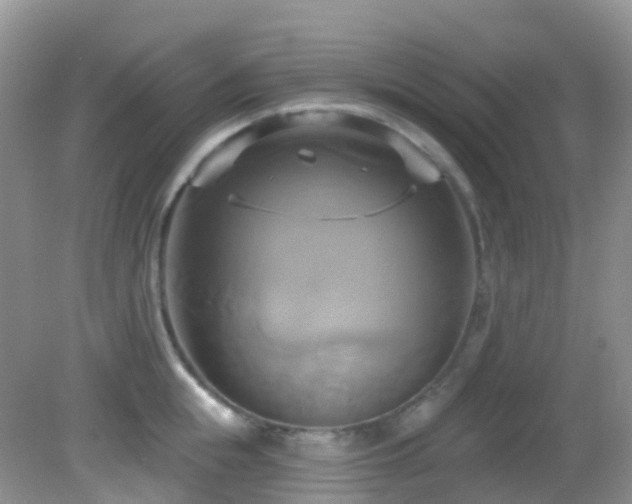 X0000083040855200702021150