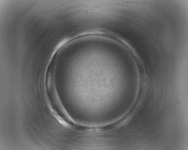 X0000083040858200702021150