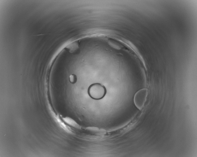 X0000083040859200702021150