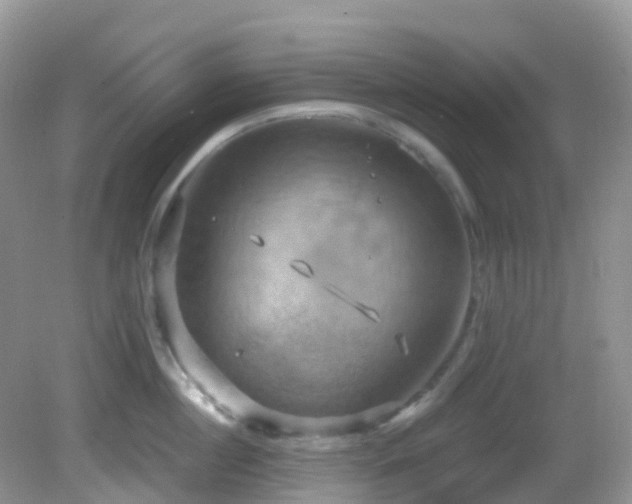 X0000083040860200702021150