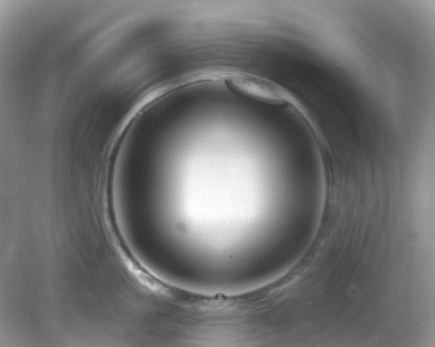 X0000083040861200702021150