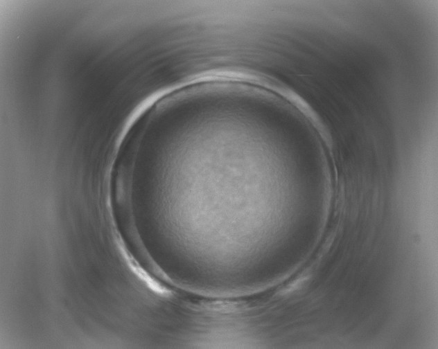 X0000083040862200702021150