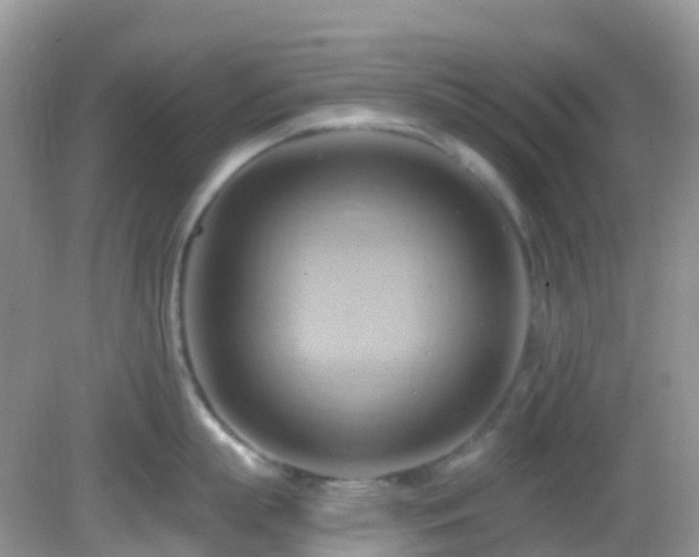 X0000083040863200702021150