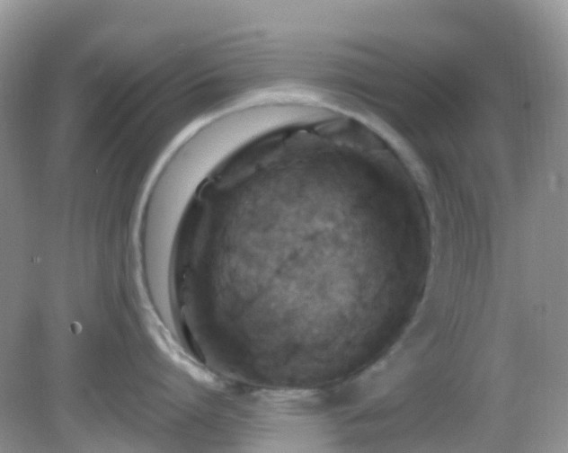 X0000083040864200702021150