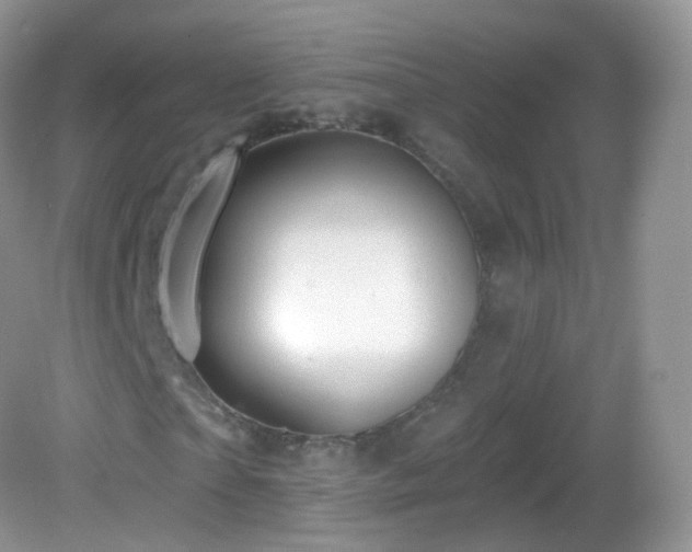 X0000083040865200702021149