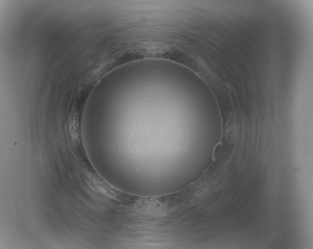 X0000083040866200702021149