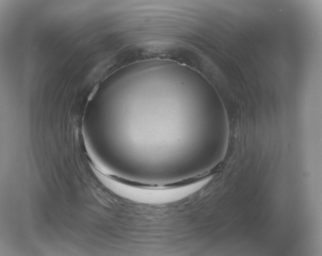 X0000083040868200702021149