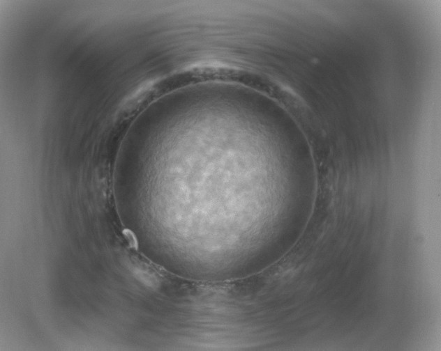 X0000083040870200702021149