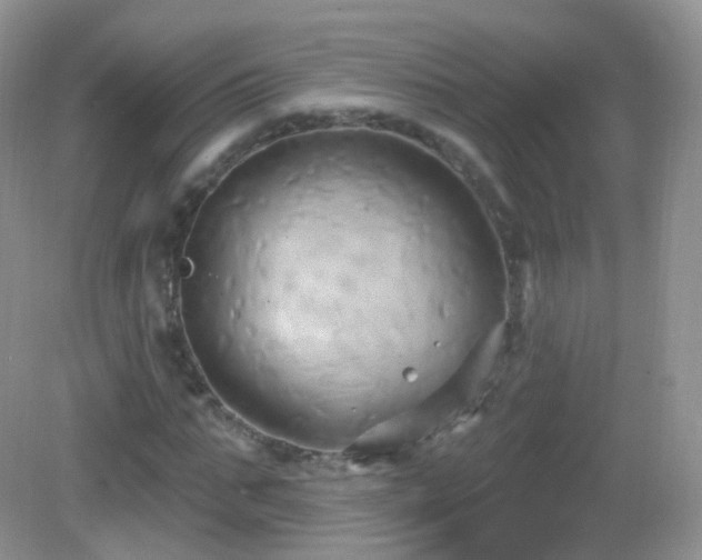 X0000083040871200702021149